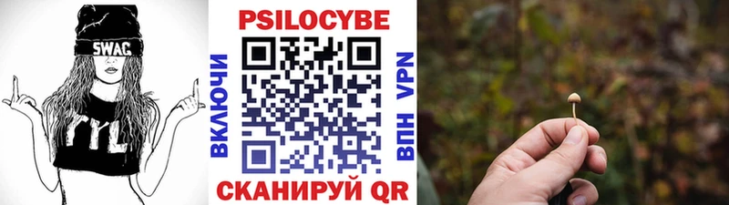 Галлюциногенные грибы Psilocybe хочу наркоту Электросталь