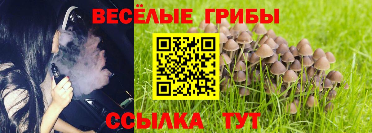 Галлюциногенные грибы мицелий  Вход с VPN  Электросталь 